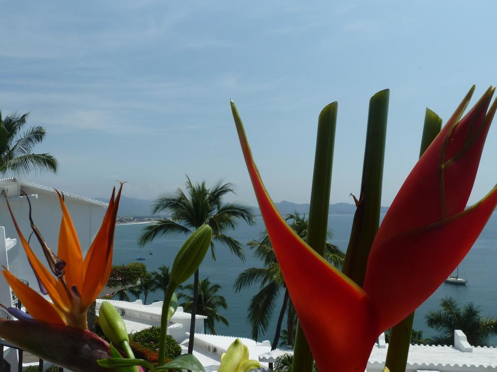 Dolphin Cove Inn Manzanillo Kültér fotó
