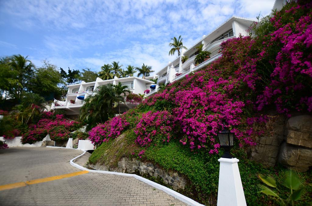 Dolphin Cove Inn Manzanillo Kültér fotó
